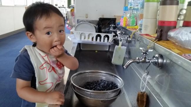 子供の写真