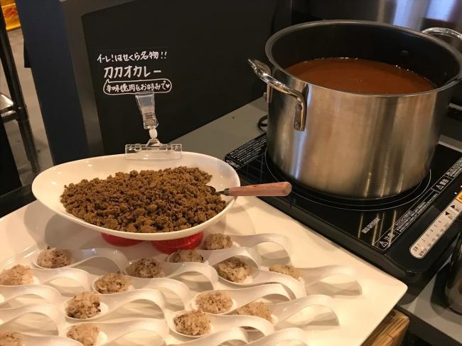 名物のカカオカレーの写真