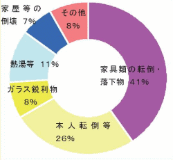 新潟県中越地震のケガの原因円グラフ