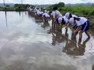 緑の鏡