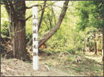 上楯城